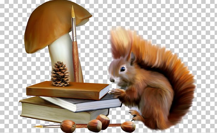 Squirrel PNG, Clipart, Animals, Animation, Brown, Cartoon Squirrel, Cute Squirrel Free PNG Download