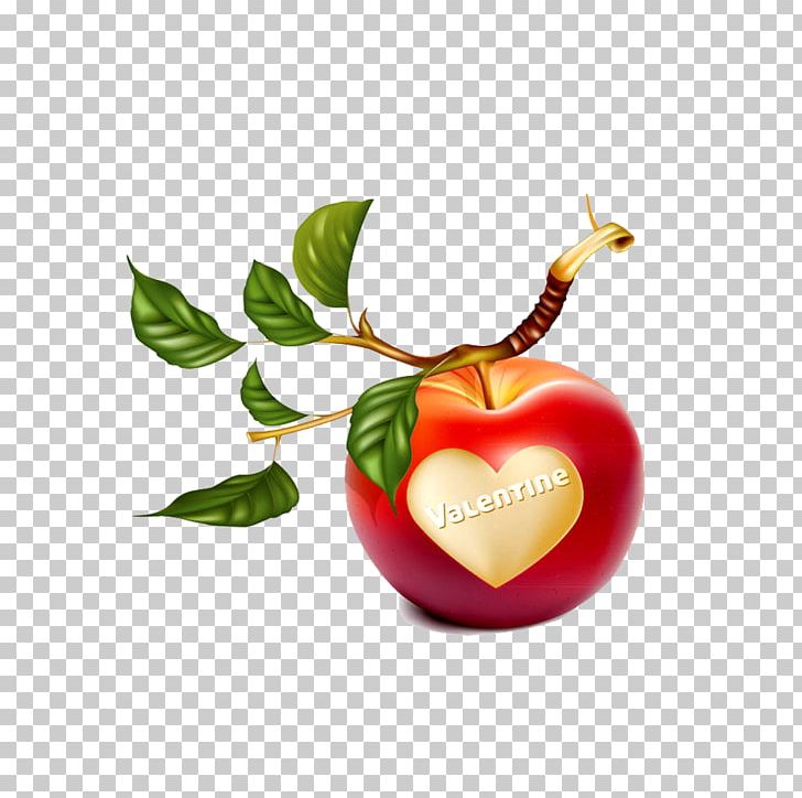 Apple Branch PNG, Clipart, Adobe Illustrator, Apple, Apple Fruit, Apple Logo, Branch Free PNG Download