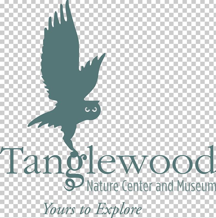 Tanglewood Nature Center Elmira Museum Logo Leadership: It's Child's Play PNG, Clipart,  Free PNG Download