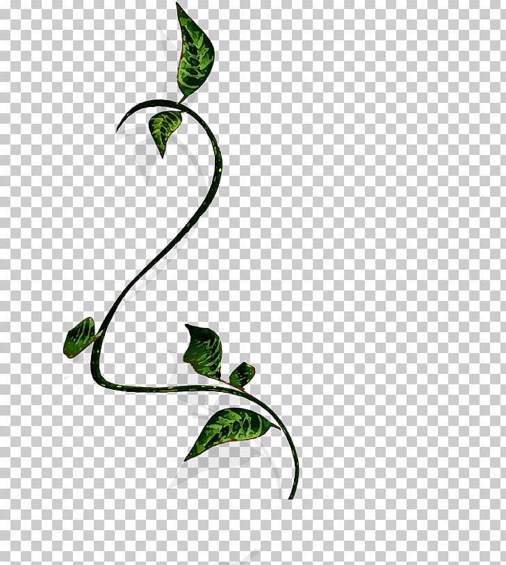 Branch Vine Wood PNG, Clipart, Area, Bird, Computer Icons, Design, Flat Design Free PNG Download