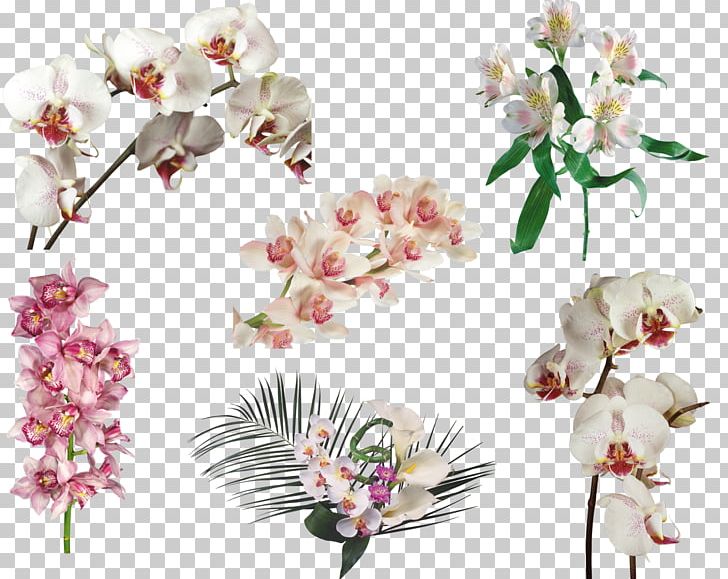 Floral Design Flower PNG, Clipart, Abstract Lines, Artificial Flower, Branch, Encapsulated Postscript, Floral Free PNG Download