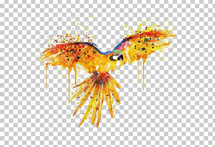 Parrot Bird Watercolor Painting Illustration PNG, Clipart, Adobe Illustrator, Animals, Art, Flower, Flying Free PNG Download