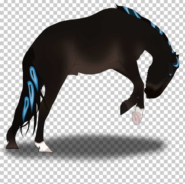 Mustang Stallion Mare Pony Halter PNG, Clipart,  Free PNG Download