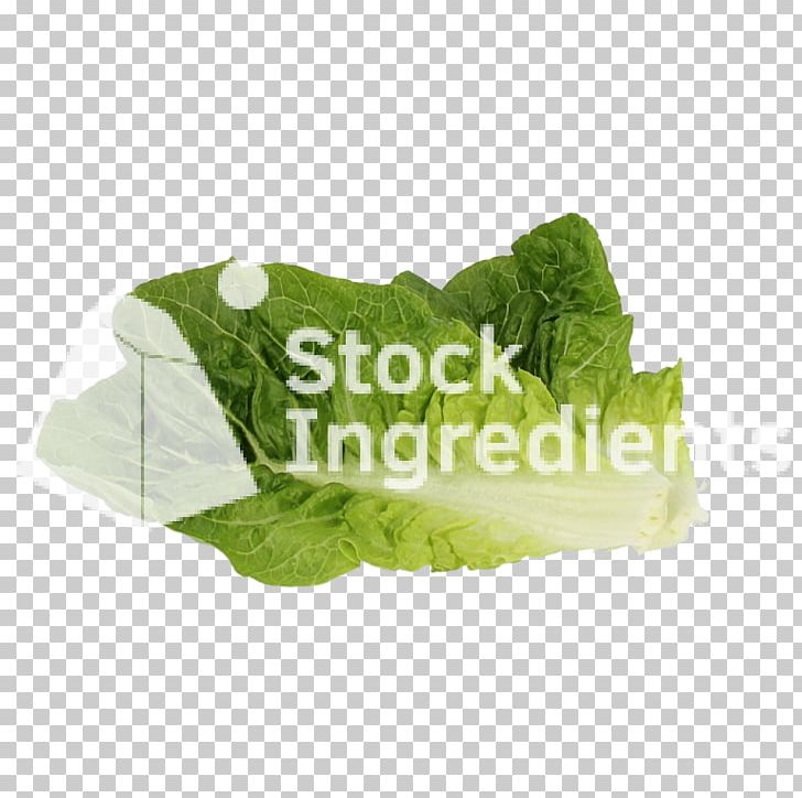 Romaine Lettuce Spring Greens Leaf Vegetable Herb PNG, Clipart, Cos, Herb, Leaf, Leaf Vegetable, Lettuce Free PNG Download