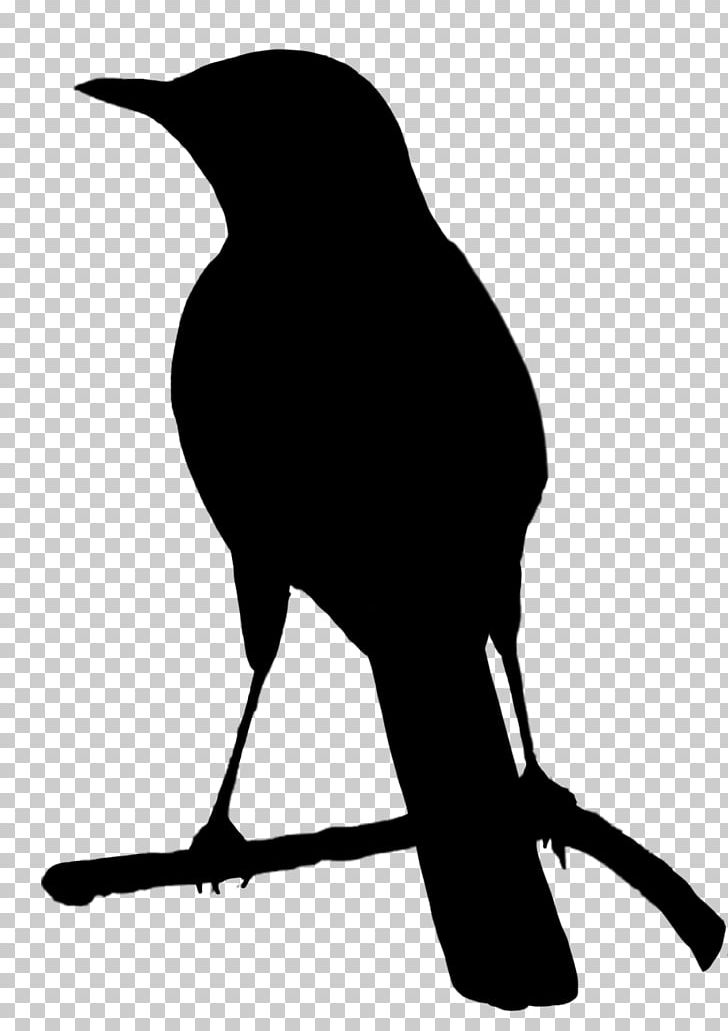 Bird Crows Parrot Silhouette PNG, Clipart, Animals, Beak, Bird, Bird Flight, Black Free PNG Download