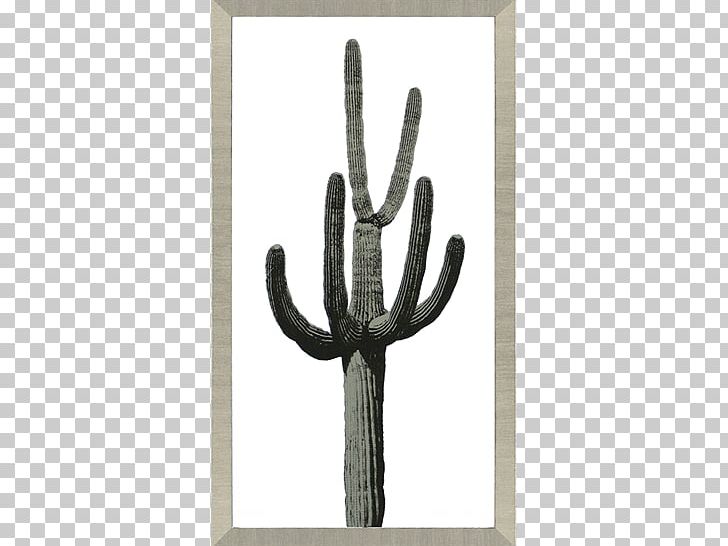 Cactaceae Saguaro Flower Form W-9 Hunting PNG, Clipart, Anchor, Cactaceae, Cactus, Flower, Form W9 Free PNG Download