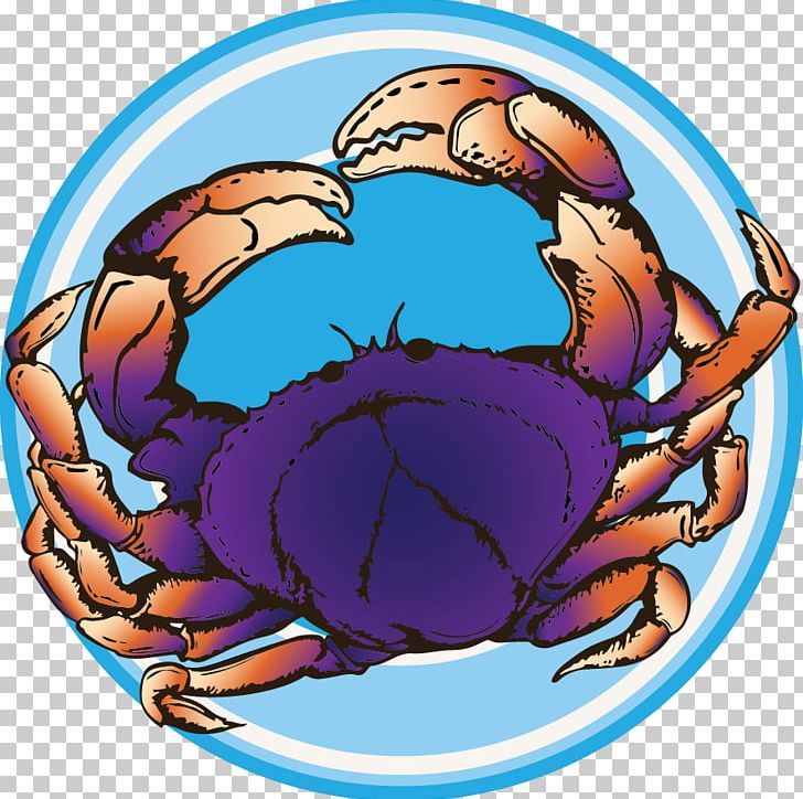 Dungeness Crab PNG, Clipart, Adam, Animals, Ball, Circle, Clip Art Free PNG Download