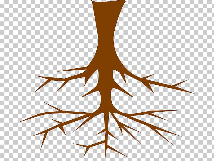 Root Tree PNG, Clipart, Art, Branch, Download, Drawing, Istock Free PNG Download