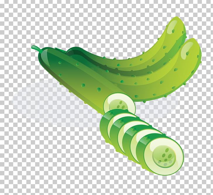 Cucumber Food Illustration PNG, Clipart, Bitter Melon, Cartoon, Cucumber, Cucumber Vector, Eau Hydrogxe9nxe9e Free PNG Download