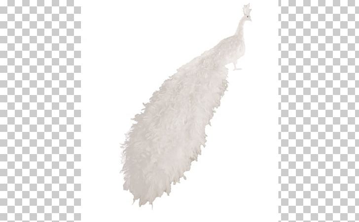 Feather PNG, Clipart, Animals, Feather, White, Wing Free PNG Download