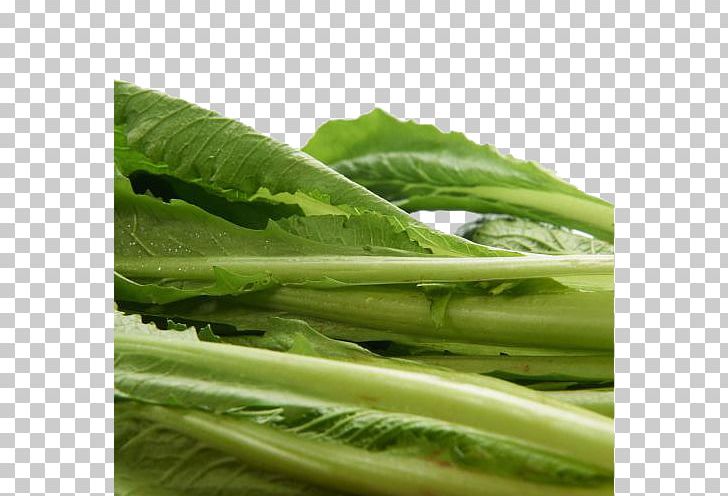 Romaine Lettuce Choy Sum Spring Greens Collard Greens Cabbage PNG, Clipart, Broccoli, Cabbage, Celtuce, Chard, Encapsulated Postscript Free PNG Download