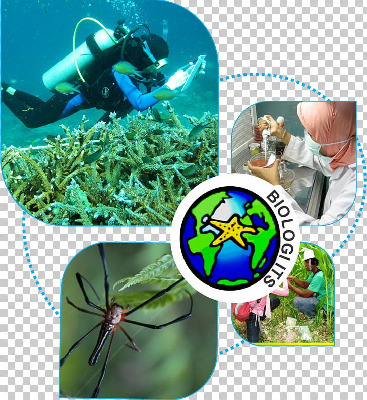 Sepuluh Nopember Institute Of Technology Biology Natural Science Laboratory PNG, Clipart, Alam, Aquanaut, Biology, Dari, Divemaster Free PNG Download