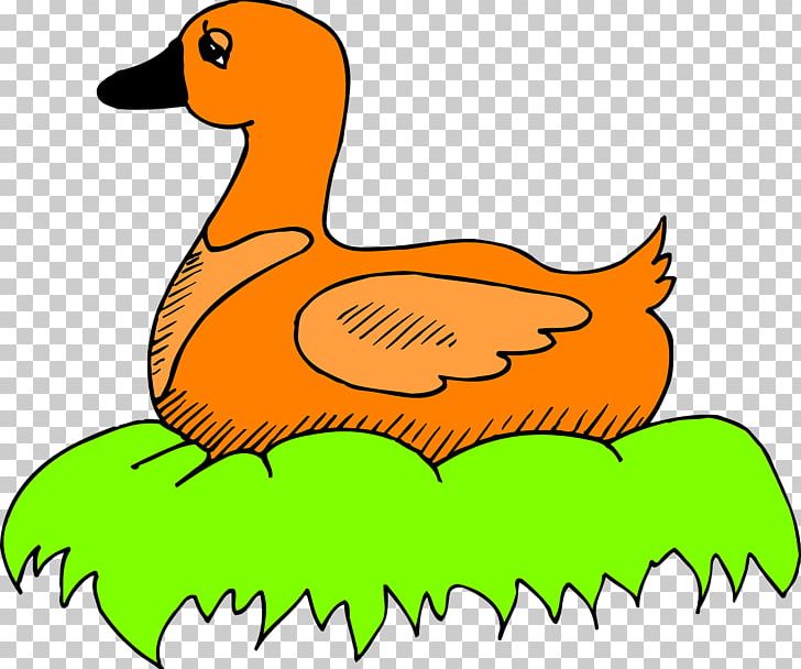 Duck Bird Nest PNG, Clipart, Animal, Animals, Artwork, Beak, Bird Free PNG Download