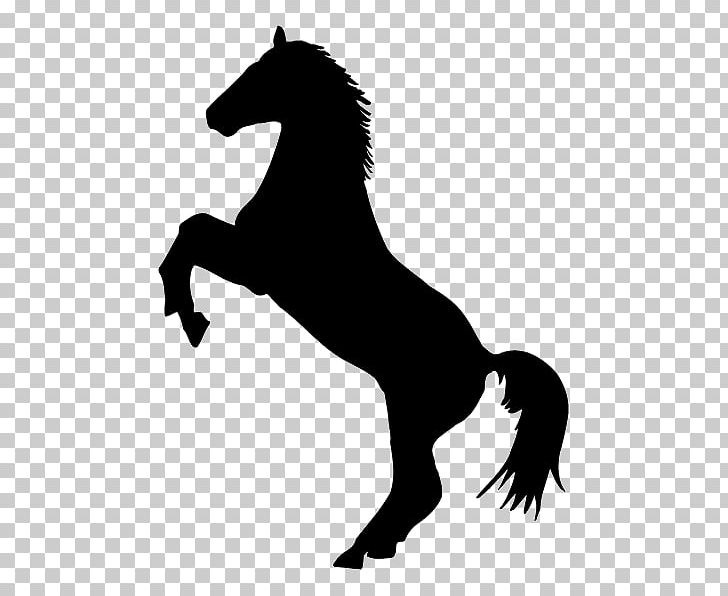 Horse Decal Sticker Rearing Stallion PNG, Clipart, Animals, Bumper Sticker, Decal, Horse, Horse Supplies Free PNG Download