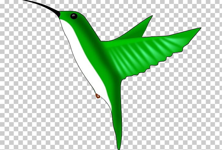 Hummingbird PNG, Clipart, Beak, Bird, Download, Drawing, Fauna Free PNG Download
