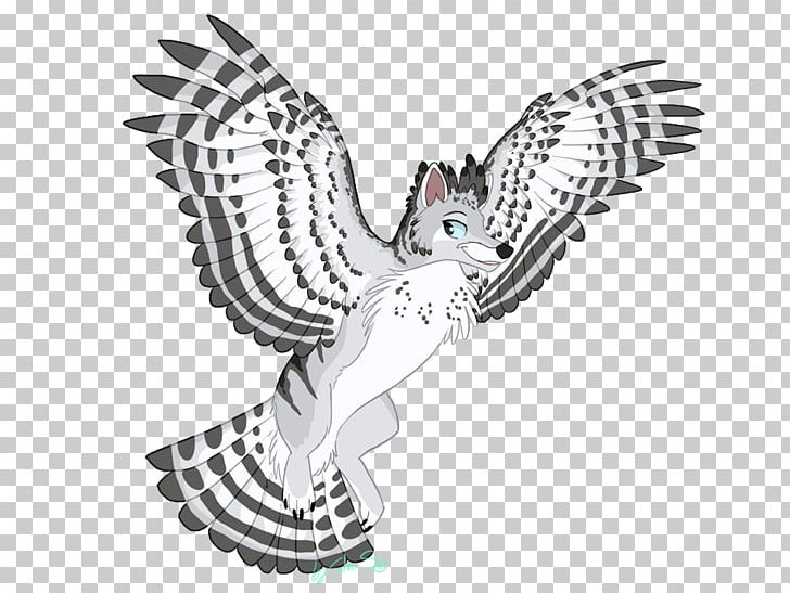 Owl Fauna Illustration Beak PNG, Clipart, Animals, Beak, Bird, Bird Of Prey, Black And White Free PNG Download