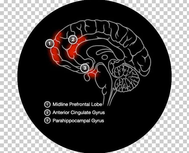 Prospective Memory Brain Cognitive Training Memory Improvement PNG, Clipart, Brain, Circle, Cognitive Training, Ebook, Exercise Free PNG Download