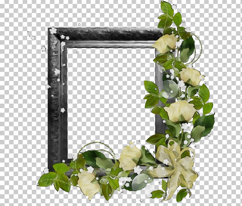 Floral Design PNG, Clipart, Biology, Film Frame, Floral Design, Flower, Paint Free PNG Download