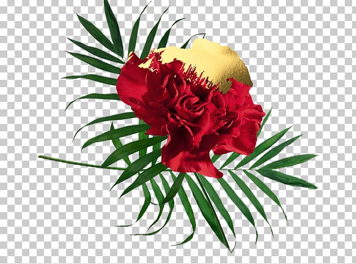 Garden Roses Floral Design Cut Flowers Carnation PNG, Clipart, Carnation, Cut Flowers, Douglas Bond, Floral Design, Floristry Free PNG Download
