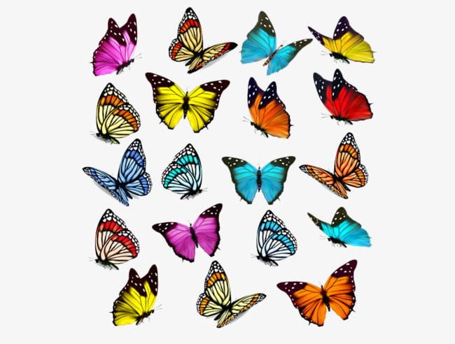 All Kinds Of Flowers Butterfly PNG, Clipart, All Clipart, Blue, Blue Butterfly, Butterfly, Butterfly Clipart Free PNG Download