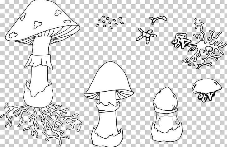 Gilled Mushrooms Fungus Drawing Illustration PNG, Clipart, Angle, Art, Artwork, Biological Life Cycle, Black And White Free PNG Download