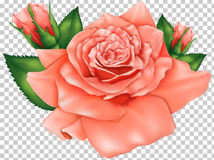 Rose Flower Pink PNG, Clipart, Blog, Carnation, Computer Icons, Cut Flowers, Floral Design Free PNG Download