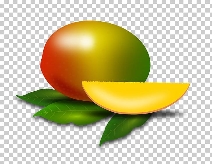 Lemon Fruit Salad Mango Drawing PNG, Clipart, Apple, Citrus, Coconut, Computer Wallpaper, Diet Food Free PNG Download