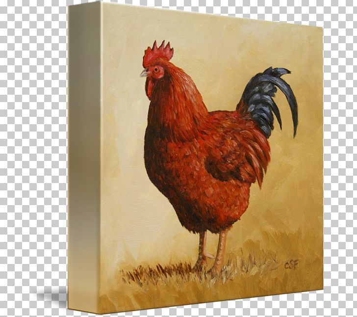 Rooster Rhode Island Red Paper Zazzle PNG, Clipart, Azulejo, Bag, Beak, Bird, Ceramic Free PNG Download