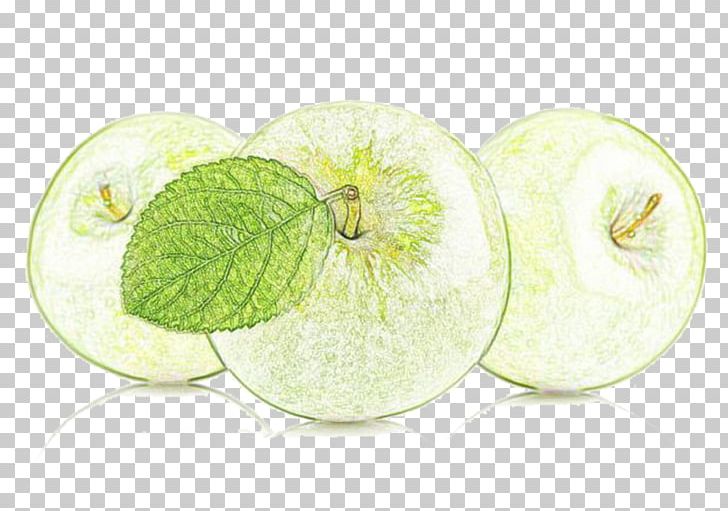 Apple Drawing Colored Pencil Painting PNG, Clipart, Apple Fruit, Apples Vector, Auglis, Croquis, Food Free PNG Download