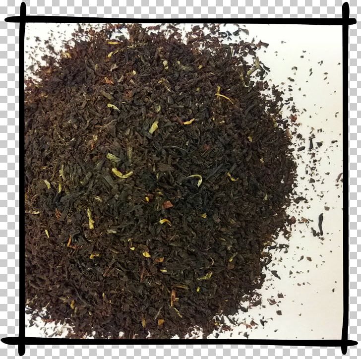 Nilgiri Tea Assam Tea Earl Grey Tea Gunpowder Tea PNG, Clipart, Assam Tea, Caffeine, Ceylon Tea, Chun Mee Tea, Cinnamon Tea Free PNG Download