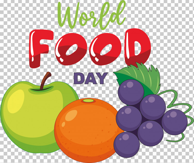 Memorial Day PNG, Clipart, Color, Coloring Book, Fruit, Local Food, Memorial Day Free PNG Download
