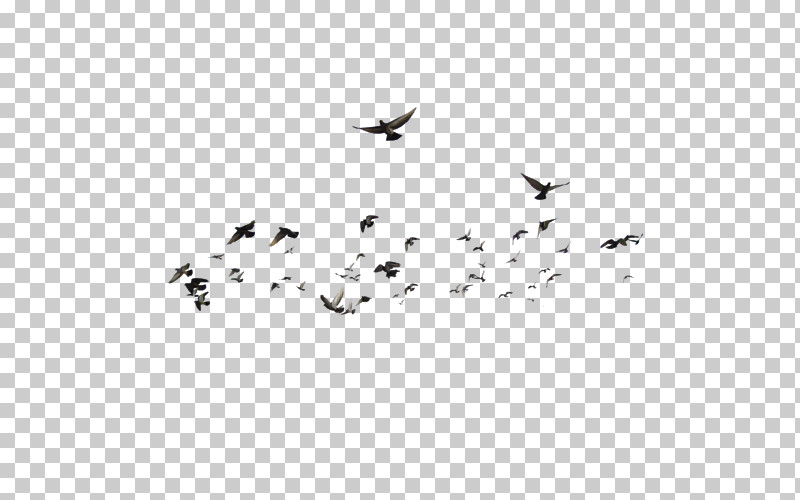Birds Bird Migration Flock Earth Beak PNG, Clipart, Animal Migration, Beak, Bird Migration, Birds, Black White M Free PNG Download