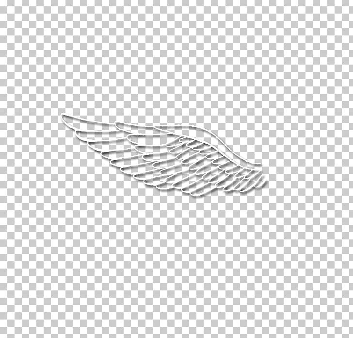 Feather White Line Wing Angle PNG, Clipart, Angle, Animals, Bird, Black And White, Feather Free PNG Download