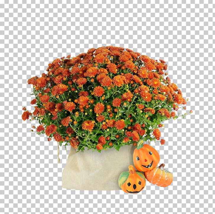 GEFRO Consommé Gazpacho Soup Food PNG, Clipart, Artificial Flower, Broth, Chrysanths, Consomme, Cut Flowers Free PNG Download