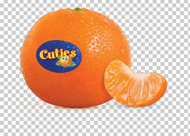 Orange Juice Mandarin Orange Clementine Fruit Salad PNG, Clipart, Citric Acid, Citrus, Clementine, Diet Food, Eating Free PNG Download