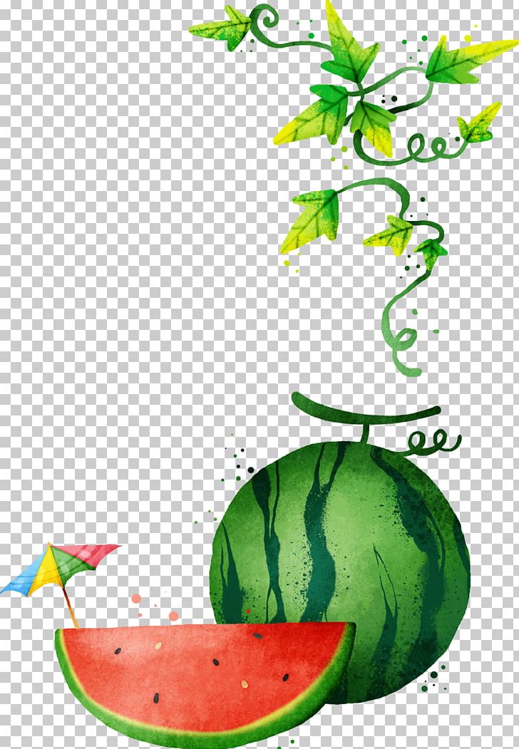 Watermelon PNG, Clipart, Auglis, Citrullus, Food, Fruit, Fruit Nut Free PNG Download