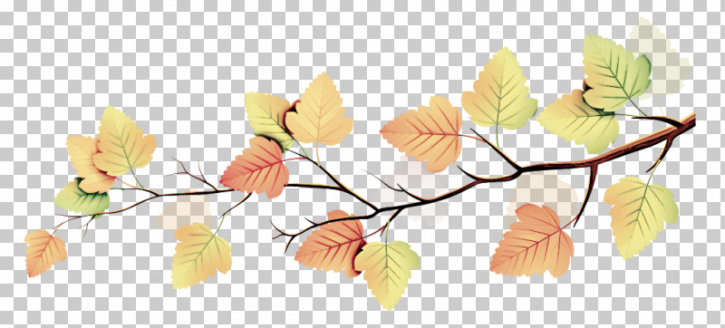 Floral Design PNG, Clipart, Cut Flowers, Floral Design, Flower, Leaf, Petal Free PNG Download