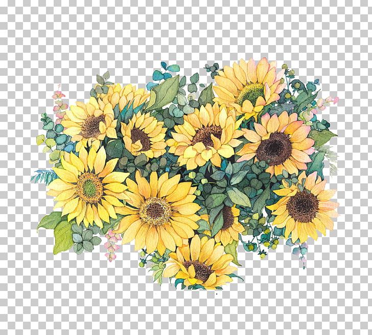Common Sunflower Watercolor Painting Illustration PNG, Clipart, Annual Plant, Artificial Flower, Cartoon, Chrysanths, Cut Flowers Free PNG Download