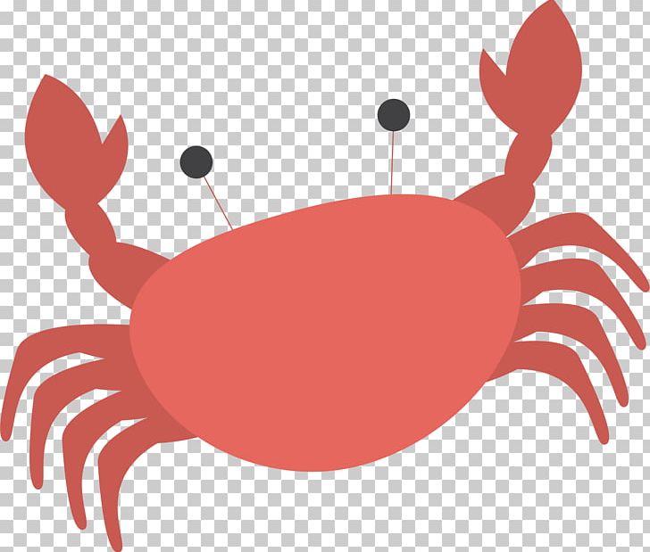 Crab PNG, Clipart, Adobe Illustrator, Animals, Art, Cangrejo, Christmas Island Red Crab Free PNG Download