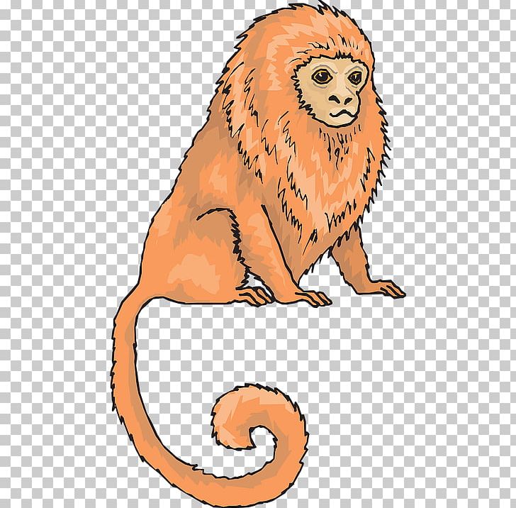 Golden Lion Tamarin Pygmy Marmoset Monkey PNG, Clipart, Animals, Art, Big Cats, Callitrichidae, Carnivoran Free PNG Download