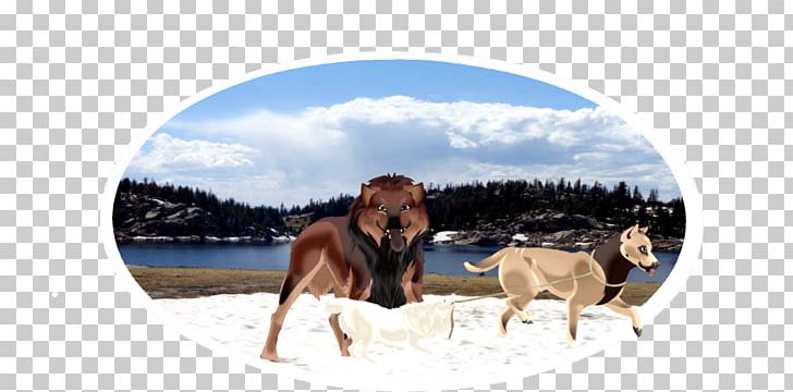 Horse Dog Cattle Wildlife Mammal PNG, Clipart, Animals, Cattle, Cattle Like Mammal, Dog, Horse Free PNG Download