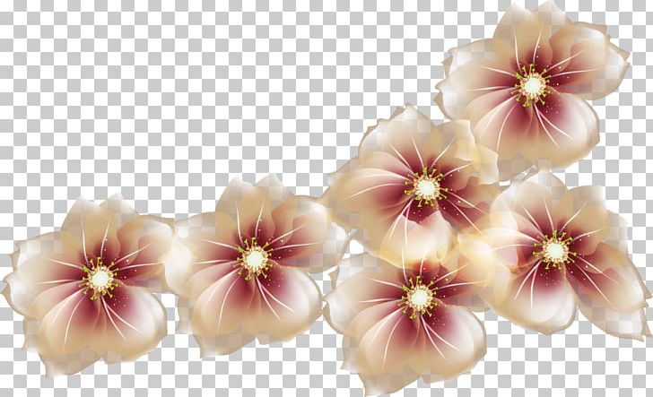 Flower PNG, Clipart, Computer Icons, Cut Flowers, Desktop Wallpaper, Floral, Flower Free PNG Download