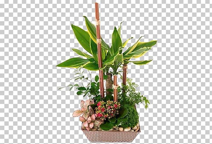 Flower Green Succulent Plant Composition Florale PNG, Clipart, Composition Florale, Cut Flowers, Fleurs Nature, Floral Design, Florist Free PNG Download