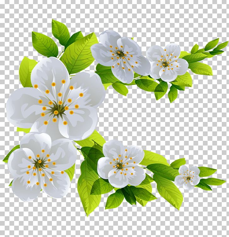 Flower PNG, Clipart, Blossom, Branch, Cherry Blossom, Computer Icons, Cut Flowers Free PNG Download