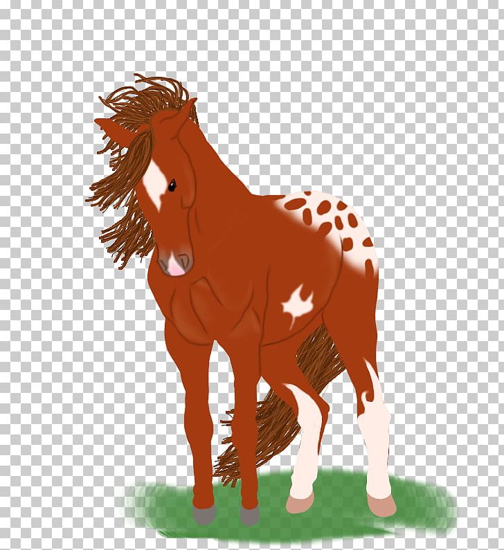 Mustang Foal Stallion Colt Mare PNG, Clipart, Animal Figure, Bridle, Close Your Eyes, Colt, Foal Free PNG Download