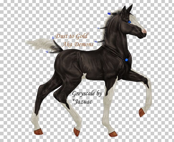 Stallion Foal Mustang Mare Colt PNG, Clipart,  Free PNG Download