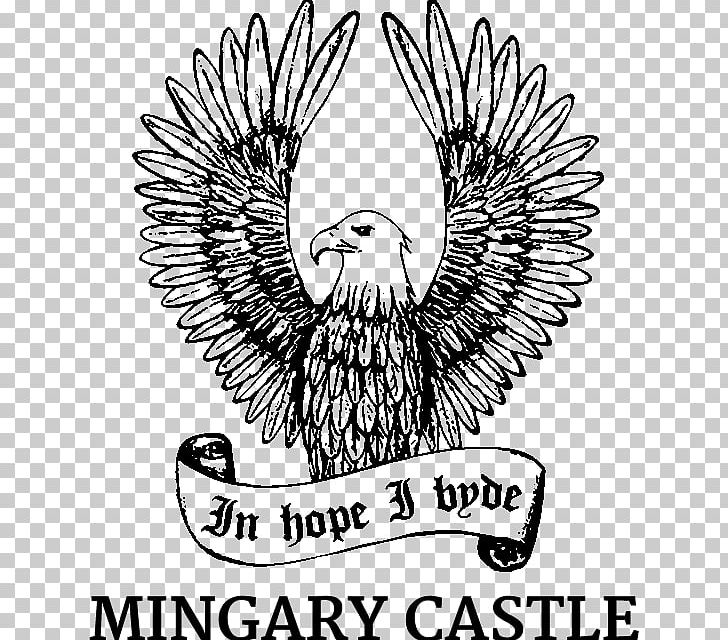 Mingary Castle Ardnamurchan Drawing Eagle PNG, Clipart, Argyll, Artwork, Beak, Bird, Bird Of Prey Free PNG Download
