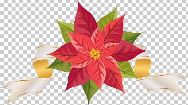 Poinsettia PNG, Clipart, Art, Borders And Frames, Christmas, Christmas Clipart, Christmas Poinsettia Free PNG Download