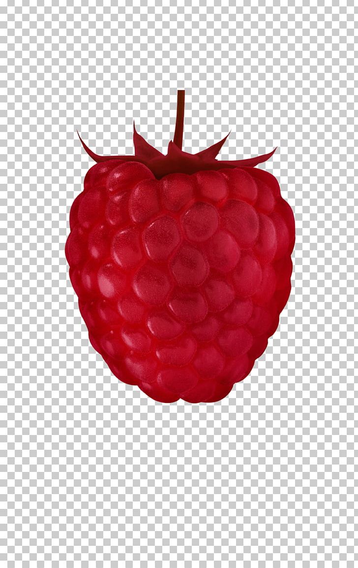 Red Raspberry Accessory Fruit Auglis PNG, Clipart, Accessory Fruit, Auglis, Berry, Blackberry, Cranberry Free PNG Download