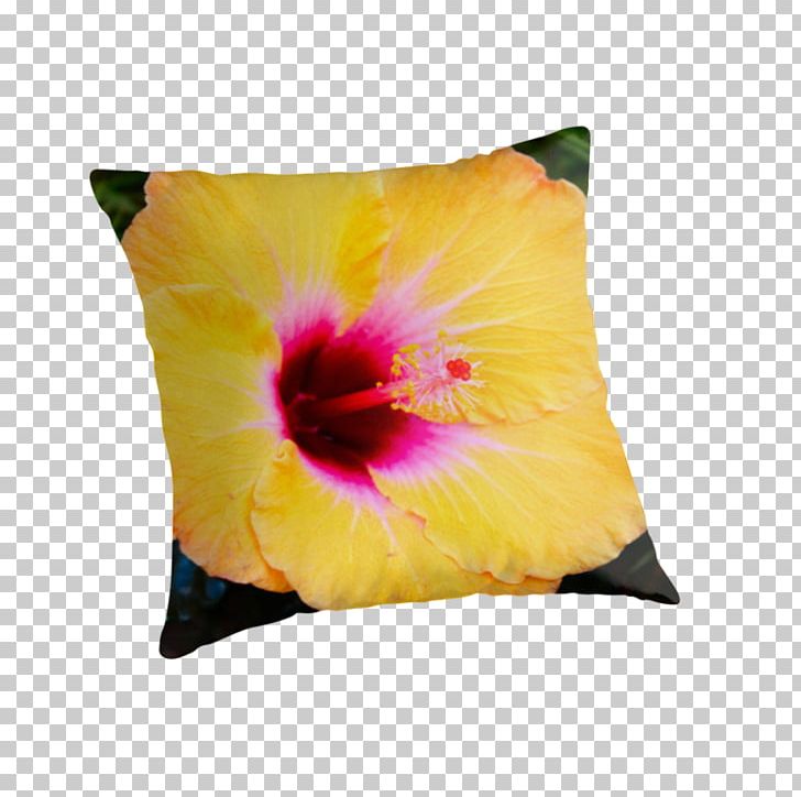 Rosemallows Cushion Throw Pillows PNG, Clipart, Cushion, Flower, Flowering Plant, Furniture, Hibiscus Free PNG Download